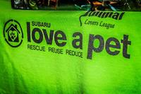 Subaru Event 2014